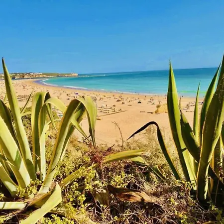 Apartment Sea View Rocha Paradise Studio *
